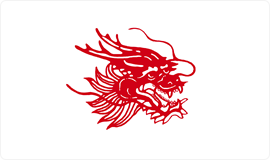 APP中国纸浆品牌:龙